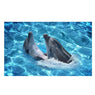 Home Living Room Bathroom Decor 3D Dolphin Removal Wall Sticker