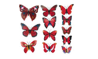 Butterfly Wall Decals For Kids Room - sparklingselections