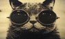 Vintage Handsome Cat Poster Wall Decal