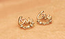New Stylish Gold Plating Zirconia Crystal Stones Stud Earrings