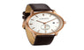 Ladies Casual Leather Calendar Quartz Watch