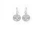 Silver Bridal Round Zircon Fish Hook Earrings For Women