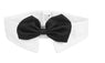 Gentleman Dog Adjustable Bow Tie