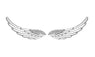 Women's Wing Feather Earrings