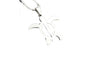 Unisex Stainless Steel Sea Turtles Pendant Necklace