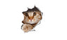 Living Room Decoration Animal Art Sticker Wall Decals