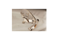 Dragonfly Pattern Inlaid Flower Shaped Finger Tip Adjustable Nail Ring