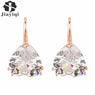 Crystal Heart Cubic Zircon Dangle Earrings
