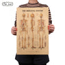 The Skeleton of The Body Structure Nervous System Poster Wall Sticker