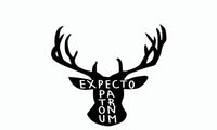 Expecto Patronum Spell Vinyl Wall Stickers for Kids - sparklingselections