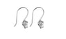 Sterling Silver Hooks Earring