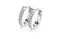 Silver Small Hoop Earrings For Women