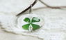 Crystal Glass Ball Dried Flowers Clover Necklace