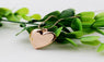 Heart Shaped Picture Frame Locket Pendant