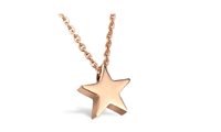 Beautiful Women's Necklace Jewelry Stainless Steel Rose Gold Star Pendant Necklace Gifts - sparklingselections