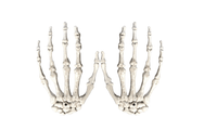 Decorative Plastic Scary Halloween Skeleton Hands - sparklingselections