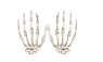 Decorative Plastic Scary Halloween Skeleton Hands