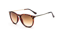 New Stylish Coating Designer Leopard Color Round Sunglasses Acrylic Eyewear Sun Glasses
