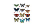 Butterfly Animal Wall Stickers
