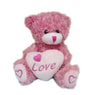 Love Heart Stuffed Animal Toys Teddy Bear Plush with Lover's Gifts Pink 5.5"