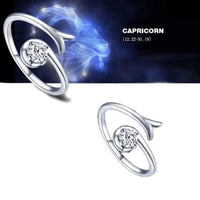 Zodiac Star Signs 12 Constellations Shaped Adjustable Ring, Silver - sparklingselections