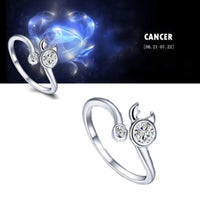 Zodiac Star Signs 12 Constellations Shaped Adjustable Ring, Silver - sparklingselections