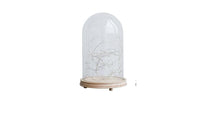 Home Decoration Multi-size Glass Dome - sparklingselections