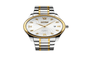 Mens  Classic Wrist Stainless Steel Watch