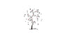 Removable Photo Tree Pvc Wall Decal Sticker For Home Decoration