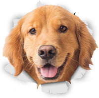3D Dog Fridge Toilet Room Happy Golden Retriever Vinyl Wall Sticker