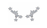 Women Vine Hook Beautiful Earrings - sparklingselections