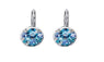Round Stone Zircon Earrings For Women