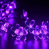 50 LEDS 7M Peach Ledertek Flower Power LED String Fairy Purple Lights - sparklingselections