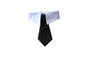 Necktie Tie For Small Pet Dog