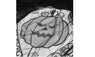 Decoration Black Spooky Pumpkin Spiderweb Halloween Supplies Cover