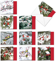 New Beautiful Birds in Snow Wearing Santa Hats Christmas Greeting Cards - sparklingselections