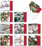 New Beautiful Birds in Snow Wearing Santa Hats Christmas Greeting Cards