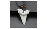 Fashion Imitation Rope Chain Shark Tooth Pendants Necklace For Women