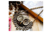 New Hot Came A Vintage Owl Necklace!