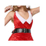 Women Sexy Christmas Festival Costumes Red Dress Uniform Role Playing for Adult Santa Dresses