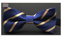 Groom Normal Mens Plaid Painted Cravat For Men Butterfly Gravata Male Marriage Wedding Bow Ties
