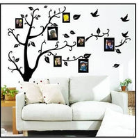 Photo Tree frame PVC Wall Stickers