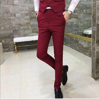 new men spring and autumn business pants size sml - sparklingselections