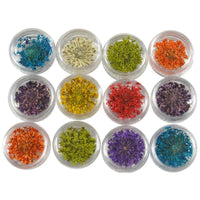 Real Dry Dried Flower For Nail Art Tips 12 Color - sparklingselections