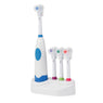 Battery Operated Tooth Brush Oralr Hygiene