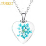 New Fashion Natural Dried Flower Crystal Heart Pendant Necklace