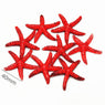 New Stylish Red Resin Starfish Cabochon Starfish 10PCS Animal Artificial Small Starfish
