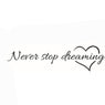 Never Stop Dreaming  Art Vinyl Wall Poster 1PC