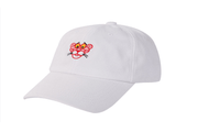 New Causal Tiger Print Embroidery Snap back Hats - sparklingselections