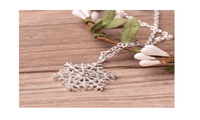 Silver Plated Frozen Snowflake Crystal Pendant Chain Necklace - sparklingselections